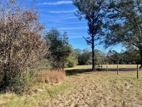 00 Ginn Rd, Tylertown, MS 39667 photo 19