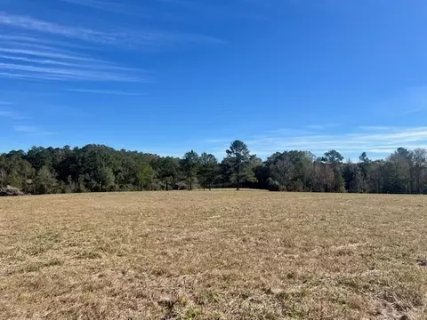 00 Ginn Rd, Tylertown, MS 39667 photo 9