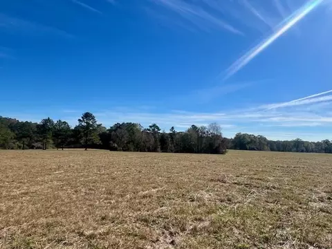 00 Ginn Rd, Tylertown, MS 39667
