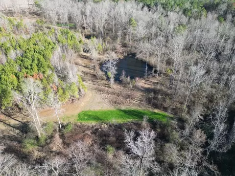 9307 Ms 28, Fayette, MS 39069