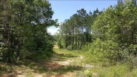 1515 Sagewood Ln NW, Brookhaven, MS 39601