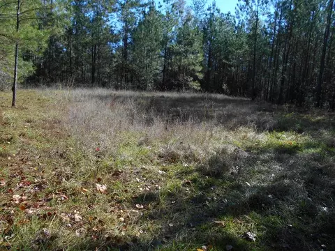 00 Rockport New Hebron Rd, New Hebron, MS 39140