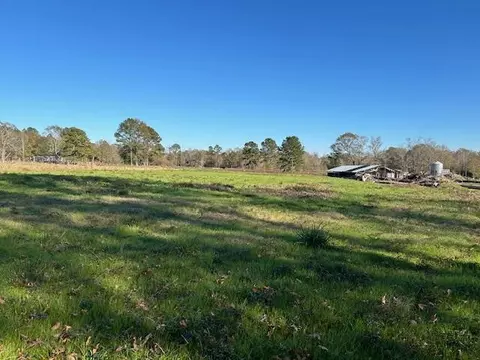 311 Lawrence Reid Rd, Tylertown, MS 39667