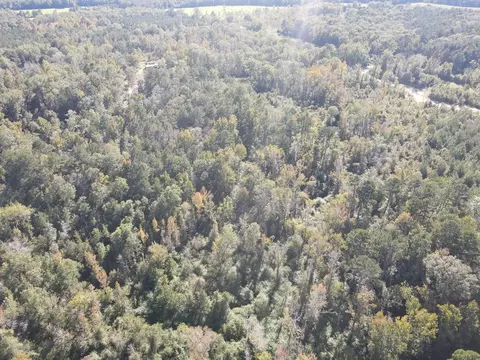 7055 King Rd, Wesson, MS 39191 photo 24