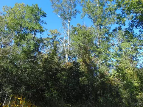 7055 King Rd, Wesson, MS 39191 photo 35