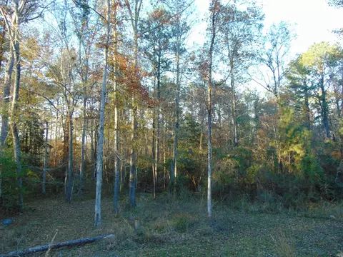 7055 King Rd, Wesson, MS 39191 photo 38