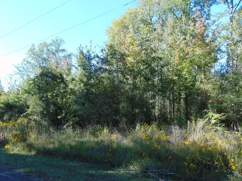 7055 King Rd, Wesson, MS 39191 photo 32