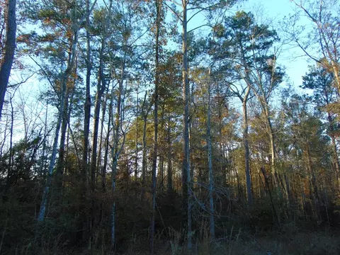 7055 King Rd, Wesson, MS 39191 photo 41