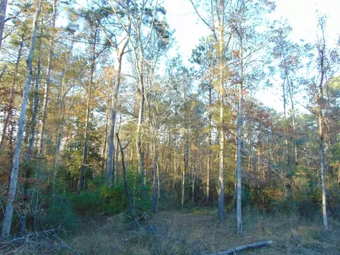 7055 King Rd, Wesson, MS 39191 photo 37
