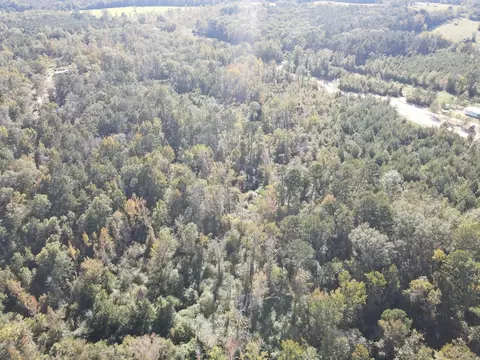 7055 King Rd, Wesson, MS 39191 photo 23