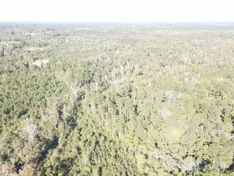 7055 King Rd, Wesson, MS 39191 photo 12