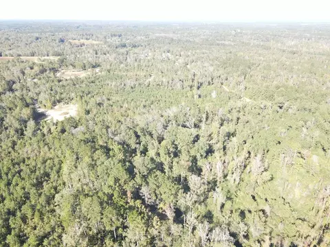7055 King Rd, Wesson, MS 39191 photo 21