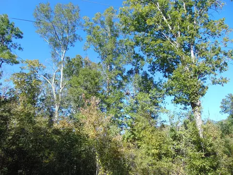7055 King Rd, Wesson, MS 39191 photo 31