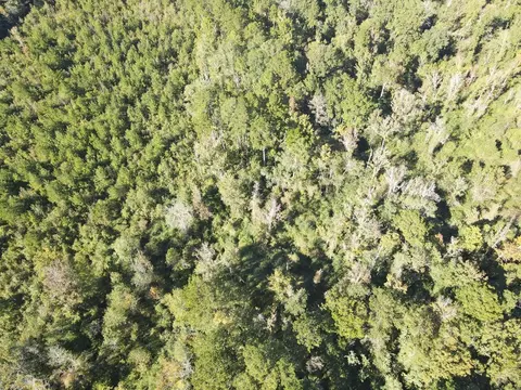 7055 King Rd, Wesson, MS 39191 photo 20