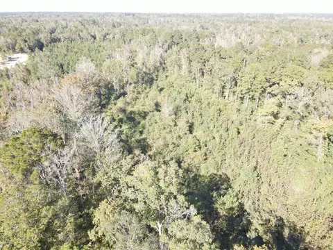 7055 King Rd, Wesson, MS 39191 photo 8
