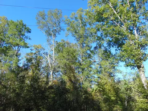7055 King Rd, Wesson, MS 39191 photo 33