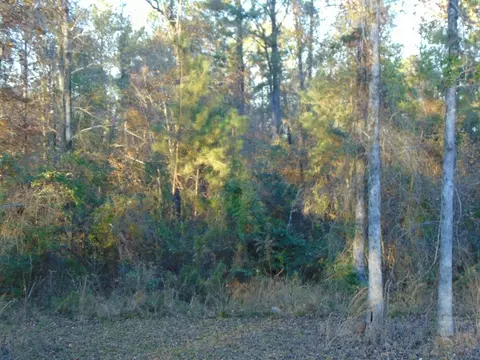 7055 King Rd, Wesson, MS 39191 photo 39