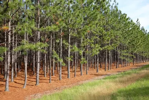 00 Caston Rd, Mccomb, MS 39648