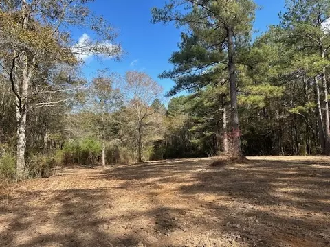 0 Highway 570, Summit, MS 39666 photo 2