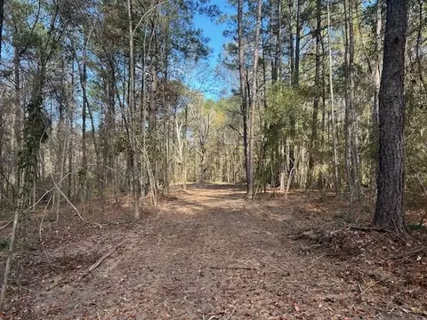 0 Highway 570, Summit, MS 39666 photo 3