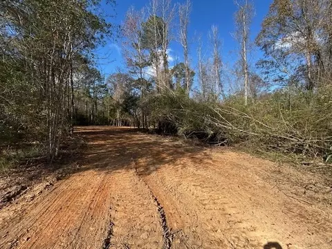 0 Highway 570, Summit, MS 39666 photo 7