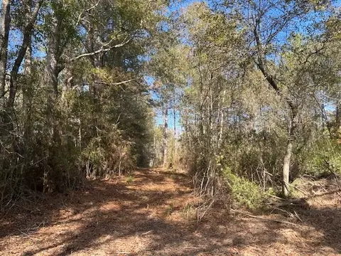 0 Highway 570, Summit, MS 39666 photo 12