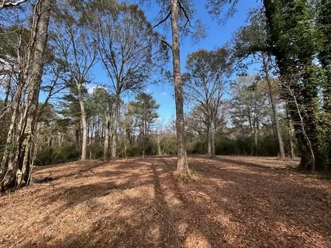 0 Highway 570, Summit, MS 39666 photo 10