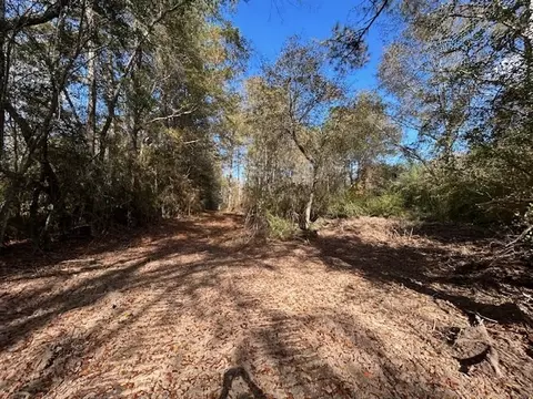 0 Highway 570, Summit, MS 39666 photo 13