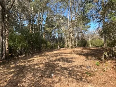 0 Highway 570, Summit, MS 39666 photo 11