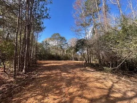 0 Highway 570, Summit, MS 39666 photo 6