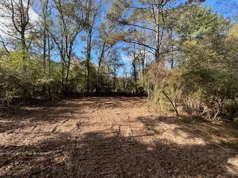 0 Highway 570, Summit, MS 39666 photo 14