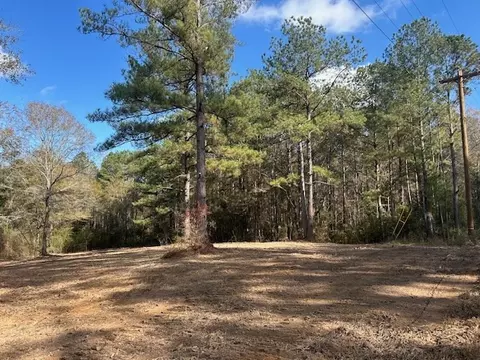 0 Highway 570, Summit, MS 39666 photo 15