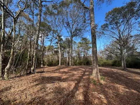 0 Highway 570, Summit, MS 39666 photo 9
