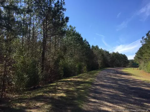 610 Mtzion Rd, Wesson, MS 39191
