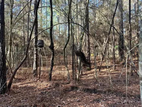 5099 Hwy 98 E, Mccomb, MS 39648 photo 7