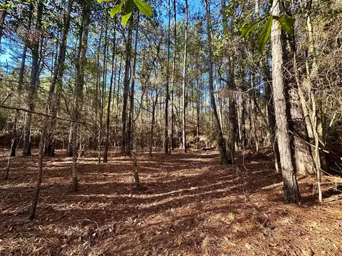 5099 Hwy 98 E, Mccomb, MS 39648 photo 5