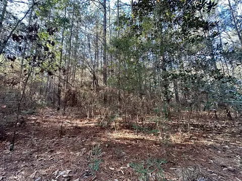 5099 Hwy 98 E, Mccomb, MS 39648 photo 6
