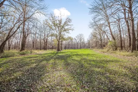 199 Robert Williams Rd, Lorman, MS 39096 photo 23