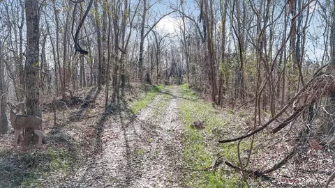 199 Robert Williams Rd, Lorman, MS 39096 photo 32