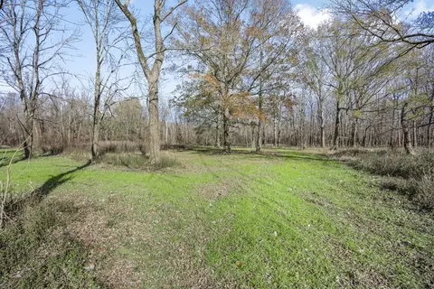 199 Robert Williams Rd, Lorman, MS 39096 photo 18