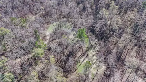 199 Robert Williams Rd, Lorman, MS 39096 photo 29