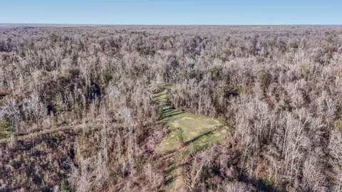199 Robert Williams Rd, Lorman, MS 39096 photo 47