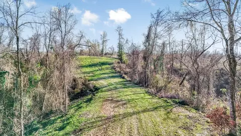 199 Robert Williams Rd, Lorman, MS 39096 photo 42