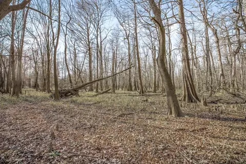199 Robert Williams Rd, Lorman, MS 39096 photo 22