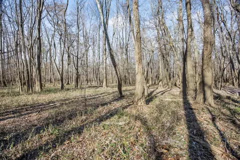199 Robert Williams Rd, Lorman, MS 39096 photo 20