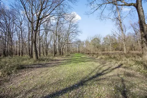 199 Robert Williams Rd, Lorman, MS 39096 photo 19