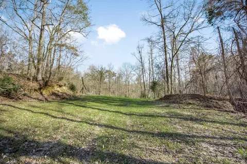 199 Robert Williams Rd, Lorman, MS 39096 photo 25