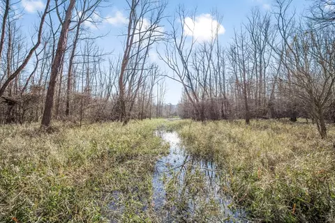 199 Robert Williams Rd, Lorman, MS 39096 photo 16