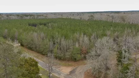 Anderson Road, Wesson, MS 39191 photo 3