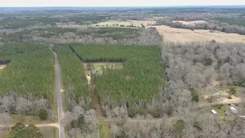 APT 3 Anderson Road, Wesson, MS 39191 photo 4